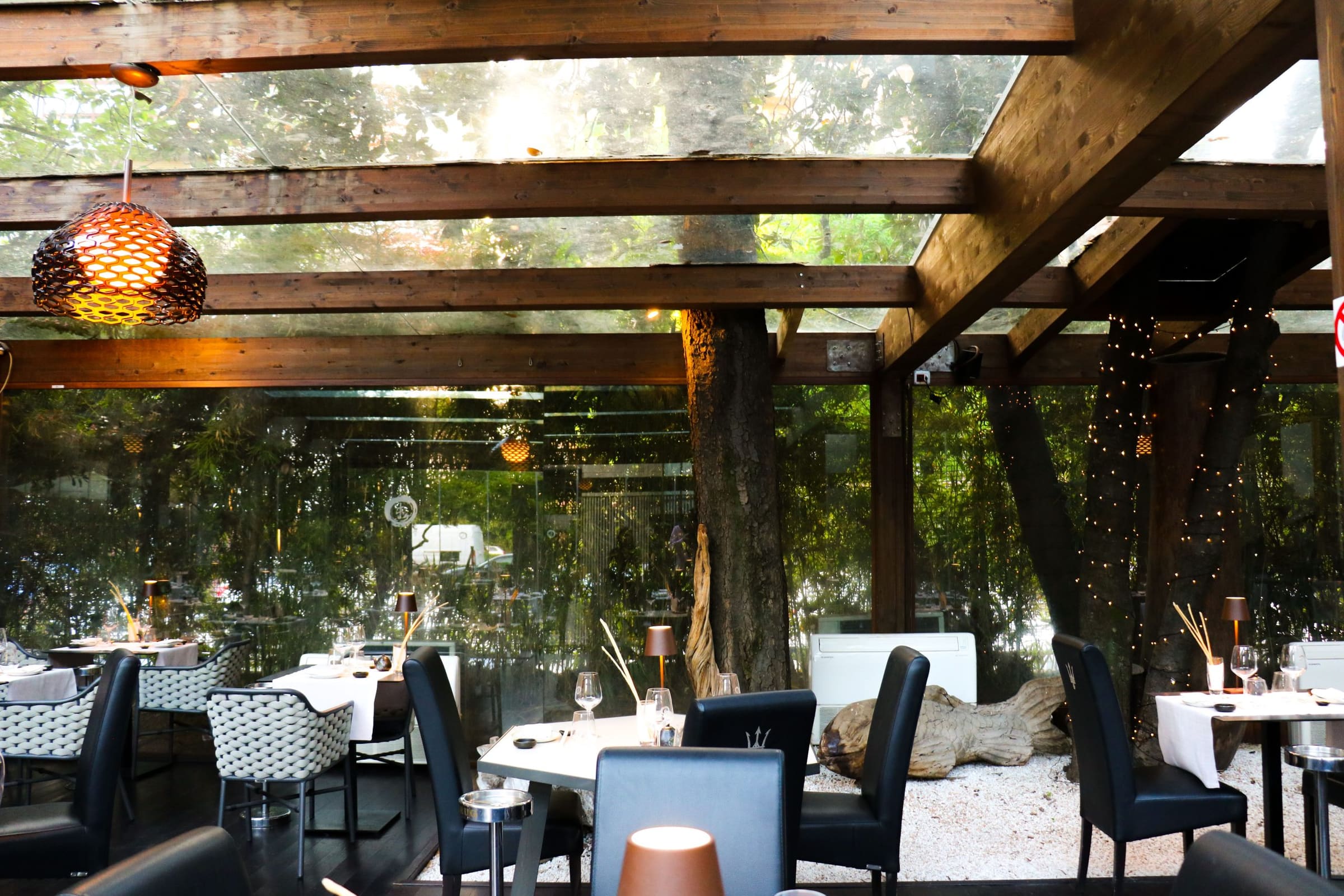 Restaurant interior with a glass roof and trees